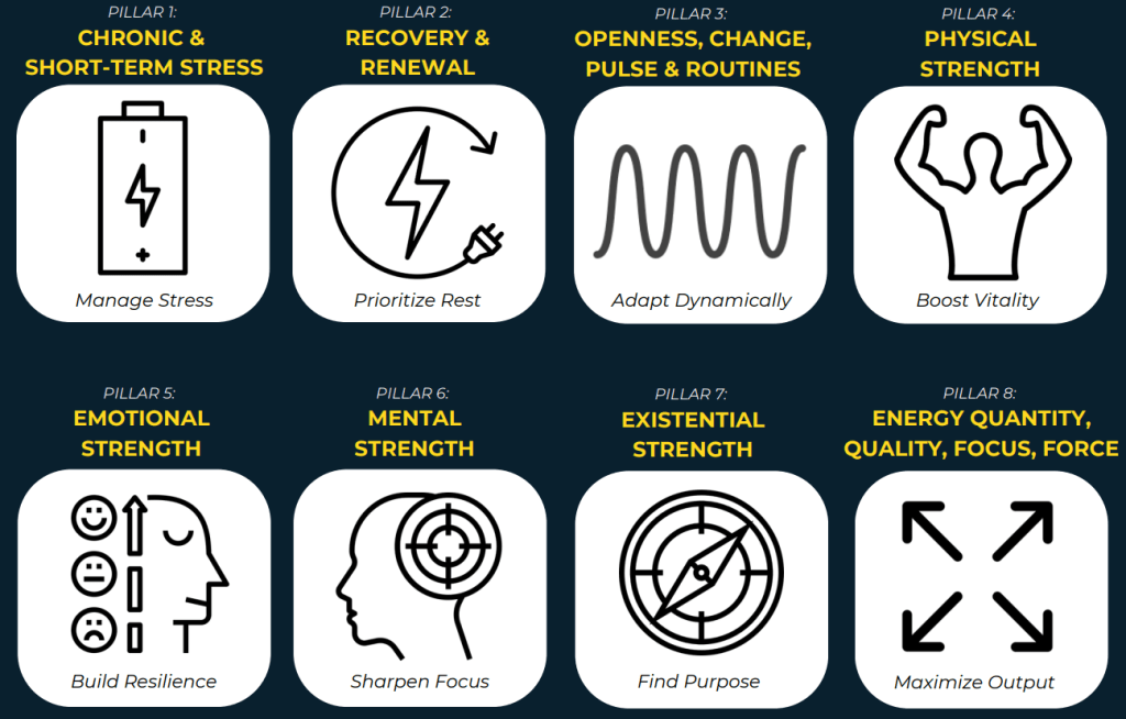 Energy-Management-Pillar - The Mindset Challenger